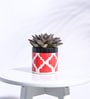 Rose Red Ceramic Pipe Shape Desk Pot Planter