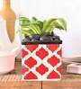 Rose Red Ceramic Square Shape Desk Pot Planter