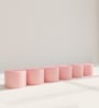 Set Of 6 Pink Wax Rose Scented Candle For Relaxation And Gifting