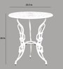Rose Metal Table & Chair Set in White Colour
