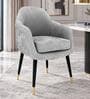 Roselle Suede Accent Chair In Grey Colour