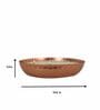 Roshni Brown & Gold Iron (Set of 4)
Scented Wax Filled Urli
Candle