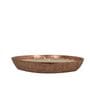 Roshni Brown & Gold Iron (Set of 4)
Scented Wax Filled Urli
Candle