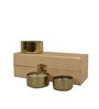 Roshni Gold Iron (Set of 3) Scented Jar Candle