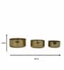 Roshni Gold Iron (Set of 3) Scented Jar Candle