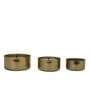 Roshni Gold Iron (Set of 3) Scented Jar Candle
