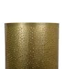 Roshni Jaali Gold Iron
Candle Holder