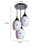 Round Black & White (E- 27/ 12 Watt) Metal & Glass Cluster Hanging Light
