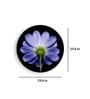 Round Blue Aster In The Bright Light Canvas Art Print