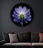 Round Blue Aster In The Bright Light Canvas Art Print