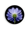 Round Blue Aster In The Bright Light Canvas Art Print