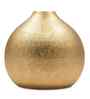 Round Flower Vase for Home Decor, Iron, Gold Textured Matte Finish