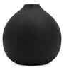 Round Flower Vase for Home Decor, Iron,Black Textured Matte Finish