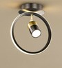 Round LED Track Metal Ceiling Light