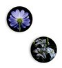 Round Multicolour Dramatic Madonna Lily Canvas Set Of 2 Art Print