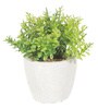 Round Plastic Flower With Pot