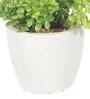 Round Plastic Flower With Pot