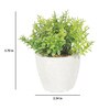Round Plastic Flower With Pot