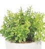 Round Plastic Flower With Pot