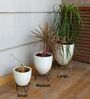 Round Shape Pack of 4 Black Metal Floor Planter Stand