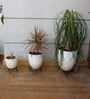 Round Shape Pack of 4 Black Metal Floor Planter Stand