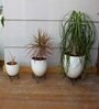 Round Shape Pack of 4 Black Metal Floor Planter Stand