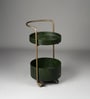 Rover Round Bar Trolley In Green Colour