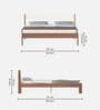 Roverb Queen Size Bed in Walnut Finish