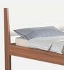 Roverb Queen Size Bed in Walnut Finish