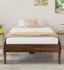 Roverb Single Size Bed In Brown Maple Colour