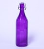 ROXX Octra Purple Glass Bottle, 1000 ML