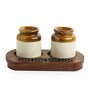 Royal Garnishers 80ml Multicolour Ceramic (Set of 3) Salt & Pepper Shaker with Sheesham Wood Tray