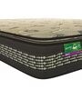 Royale VibroTech 8 inch Pocketed Spring Queen Size Mattress