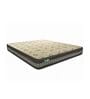 Royale VibroTech 8 inch Pocketed Spring Queen Size Mattress