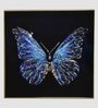 Sparkling Butterfly Wall Frame  Black Background  MDF  Multicolor