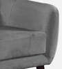 Rozaic Velvet 1 Seater Sofa in Grey Colour