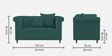 Rubi Velvet 2 Seater Sofa in Pine Green Colour