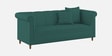 Rubi Velvet 3 Seater Sofa in Pine Green Colour