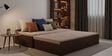Rubik King Sized Pull-Out Sofa Cum Bed With Storage in Brown Finish