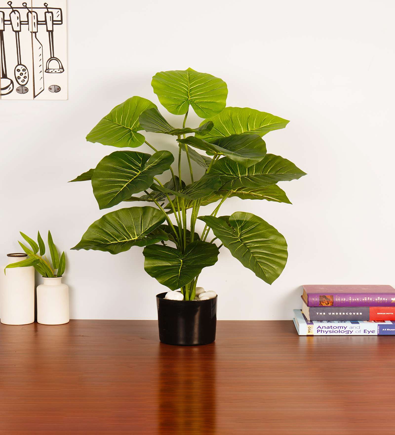 Artificial Rubber Plant 65Cm