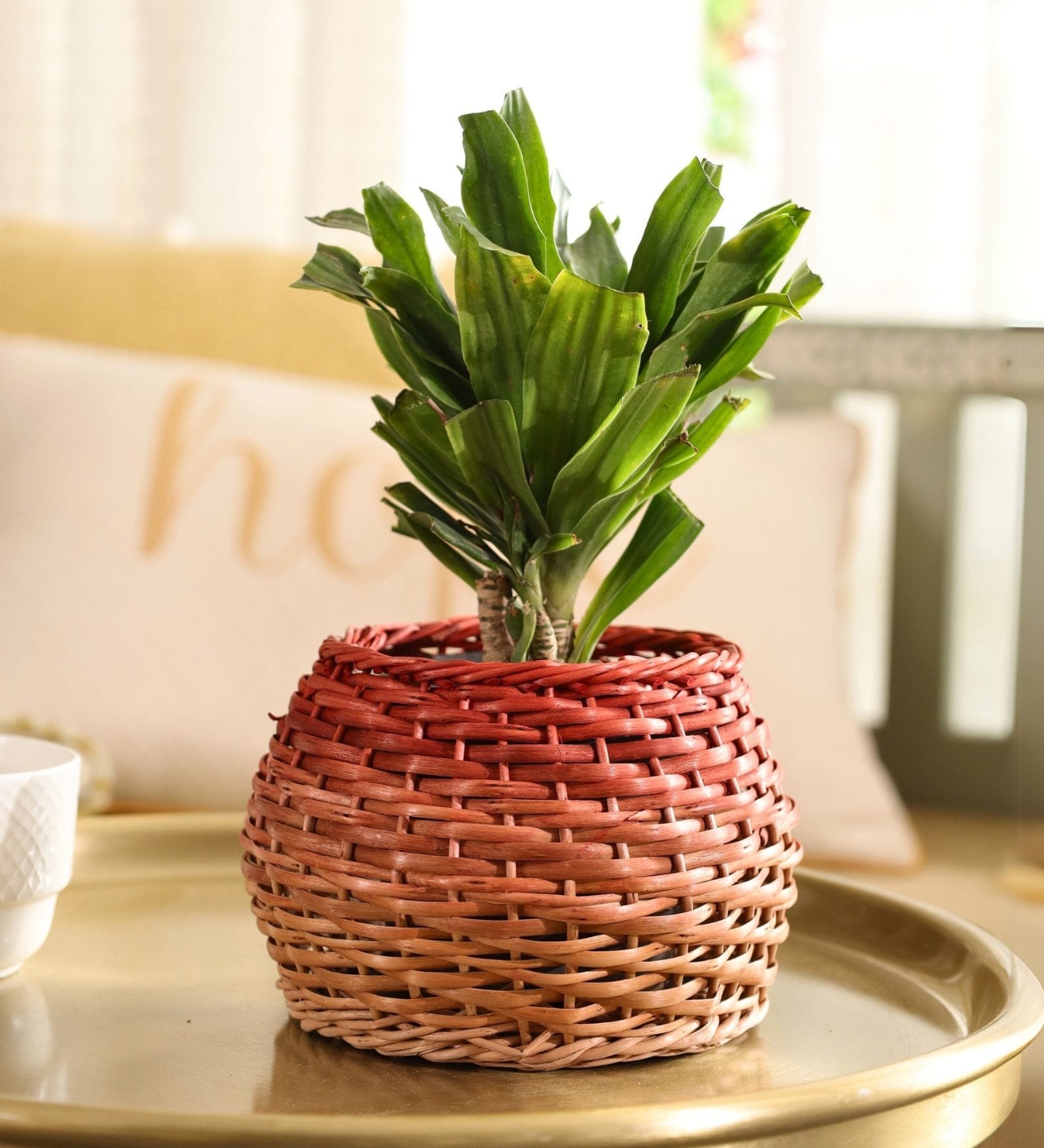 Rustic Charm Wicker & Wood Eco Friendly Planter in Rust & Natural Brown Rustic Charm Wicker & Wood Eco Friendly Planter in Rust & Natural Brown