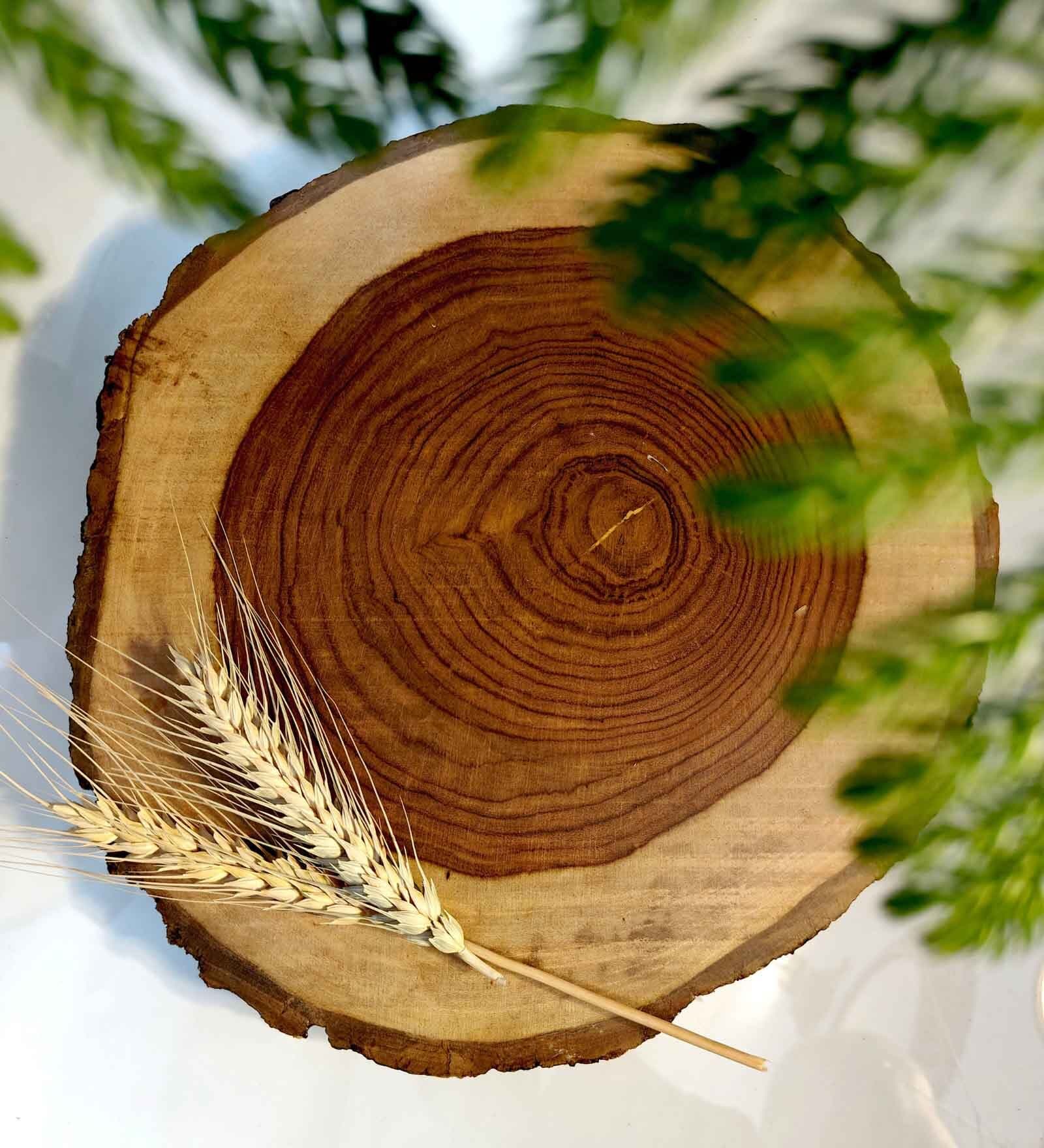 Rustic Wood Trivet   Uniquely Grained for Timeless Elegance