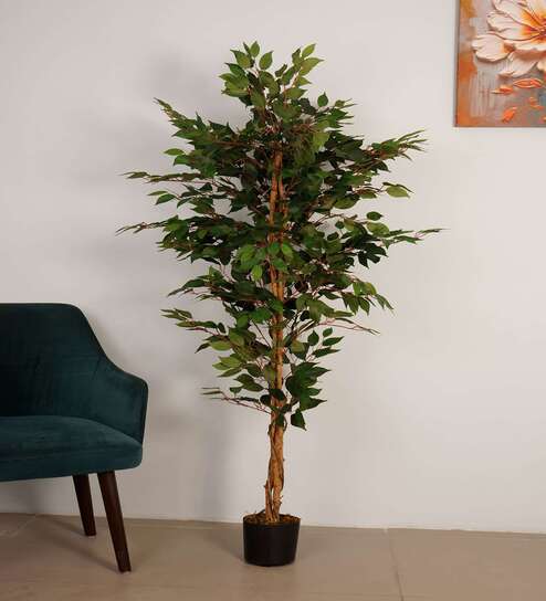 Artificial Rubber Plant 65Cm