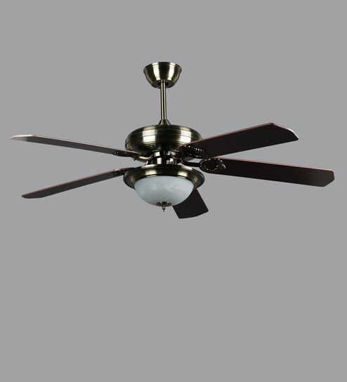 Buy Russelz Brace 1320 Mm Multicolour Ceiling Fan Online