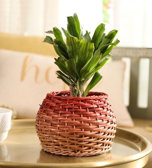 Rustic Charm Wicker & Wood Eco Friendly Planter in Rust & Natural Brown