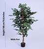 Artificial Rubber Plant 65Cm