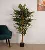 Artificial Rubber Plant 65Cm