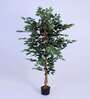 Artificial Rubber Plant 65Cm