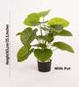 Artificial Rubber Plant 65Cm