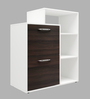Ruben Shoe Cabinet in Dark Walnut & Frosty White Colour